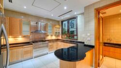 Ardmore Park (D10), Condominium #568363871